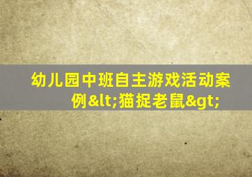 幼儿园中班自主游戏活动案例<猫捉老鼠>